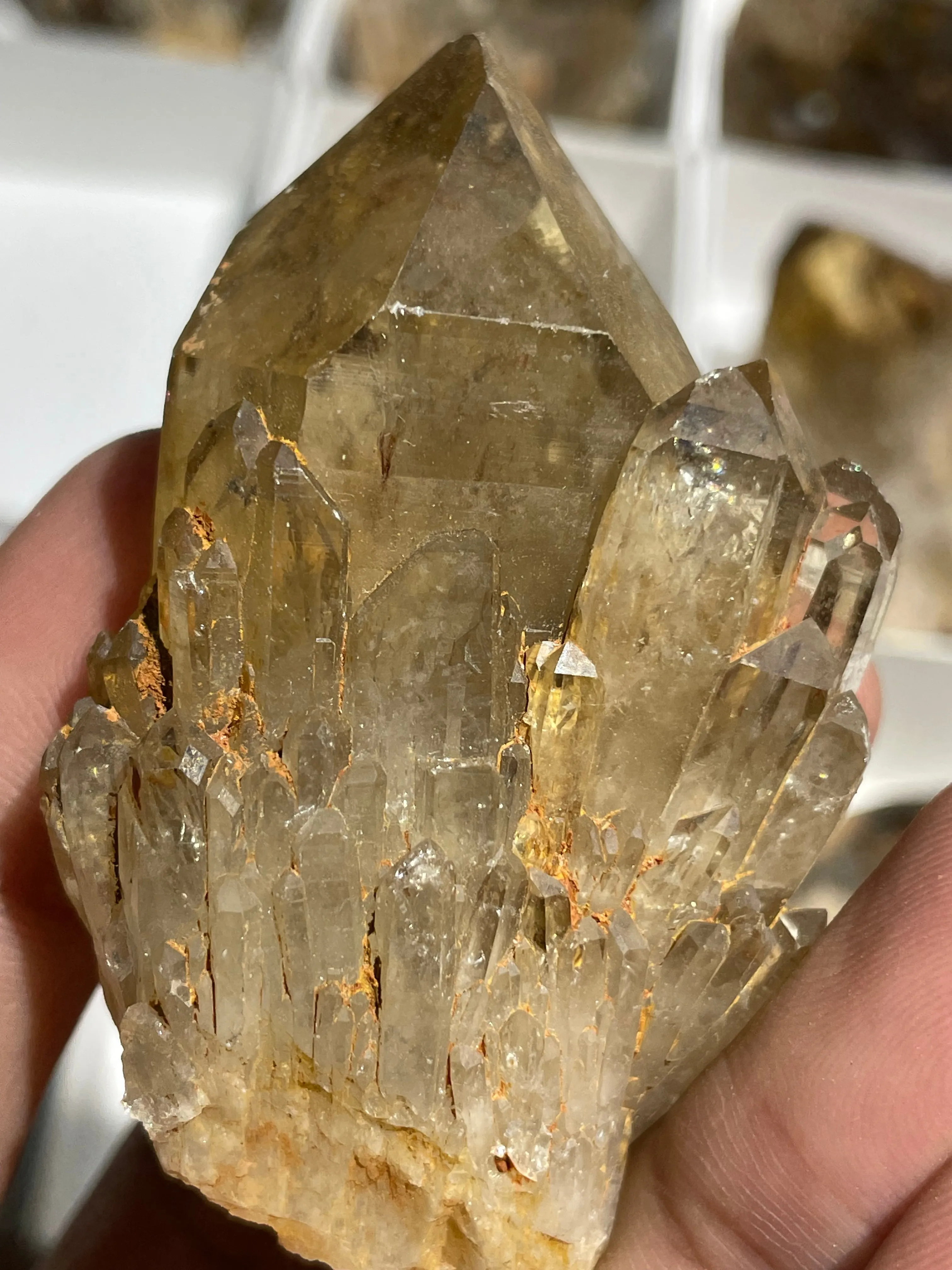 Kundalini Citrine Quartz Wholesale Flat 25 pieces, Congo Citrine, Natural Citrine from Lwena, Katanga, Democratic Republic of Congo.