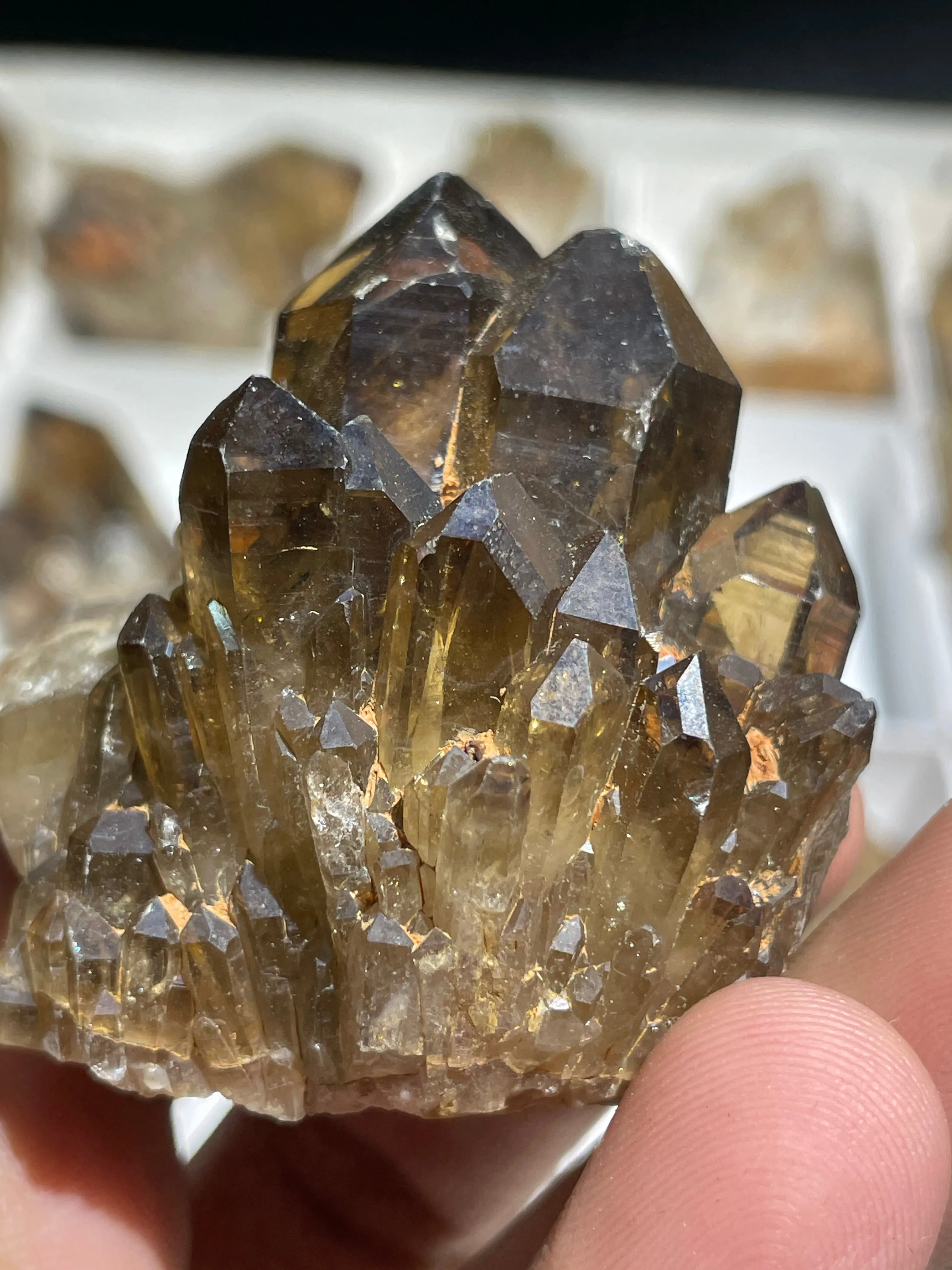 Kundalini Citrine Quartz Wholesale Flat 25 pieces, Congo Citrine, Natural Citrine from Lwena, Katanga, Democratic Republic of Congo.
